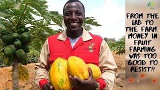 I left my formal job as a Bio-Chemist to start my Papaya empire!