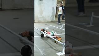 Lowest limbo skating over 25 metres - 16.5 cm (6.49 in) by Manasvi Vishal Pimpre 