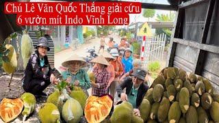 Chú Lê Văn Quốc Thắng Giải Cứu 6 Vườn Mít Indo Vĩnh Long/Tập 844