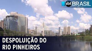 Despoluição do Rio Pinheiros está 86% concluída | SBT Brasil (30/03/22)