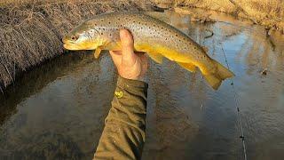 Wisconsin Trout Fishing - 3/10/2024