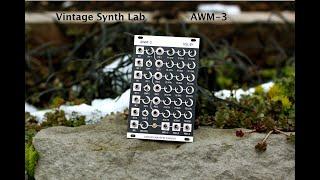 Vintage Synth Lab Eurorack AWM-3 Halloween 2020