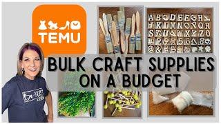 *TEMU* Craft supplies on a Budget