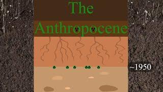 Our Mark on the Earth: The Anthropocene