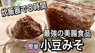 【手作り健康食品】すぐできて簡単！何でもおいしくなる万能小豆みその作り方！活用レシピ2品