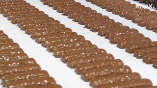 An inside look at the Mars chocolate factory in Cleveland, TN