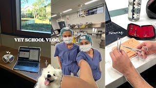 VET SCHOOL VLOG | surgery exams, caffeine addiction, realistic week, more lectures ‍️🩺