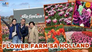 HOLLAND TULIPS & FOODTRIP IN THE NETHERLANDS | Bernadette Sembrano