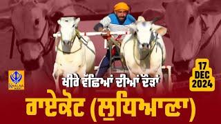 [Live] Raikot | Ludhiana | ਖੀਰੇ ਵੱਛਿਆਂ ਦੀਆਂ ਦੌੜਾਂ | Ox Races | 17 Dec 2024