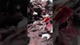 Hibiscus Tea: The Natural Solution for Edema and Toxins