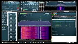 TRRS #2484 - Checking the Shortwave Band With my RSPduo SDR