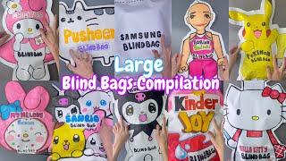 10 minutes of Large Blind Bags opening