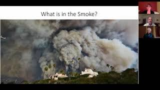 Fire Smoke Webinar Part I