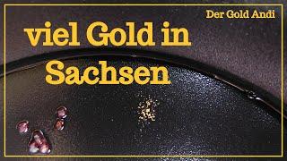 viel Gold in Sachsen | Der Gold Andi