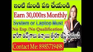 work from home  jobs in Data Typing || Siree E Business Solutions Pvt.Ltd ||Work From Home Jobs|||