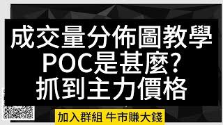 成交量分佈圖 POC VPVR 成交量的秘密 主力的足跡 教學 | ICT SMC教學 勝率超高 技術策略 訂單塊聰明錢策略