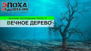 Дерево в миллион лет или истинная скорость эволюции