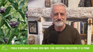 Feuille d'artichaut (Cynara scolymus) : Foie, digestion, cholestérol et glycémie