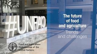 The Future of Food and Agriculture: Trends and Challenges
