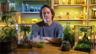 the ultimate terrarium guide