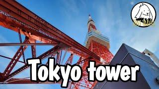 แชร์ทริคเที่ยว Tokyo tower มีอะไรบ้าง ?