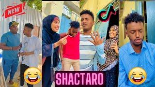 Somali Qosol Badan 2022 New || Somalia Tiktok Live