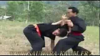 Pencak Silat Panglipur - Bela Diri