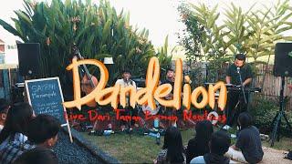 DANDELION - KONSER KECIL BERTUMBUH BERSAMA - TAMAN BERMAIN NOSSTRESS