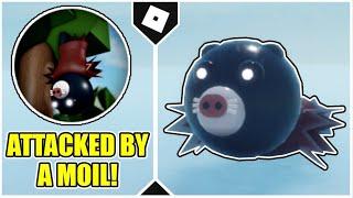 How to get "ATTACKED BY MOIL" BADGE in RAID RASH + MOIL MOLE MORPH IN THE PIGGY BATTLE! [ROBLOX]