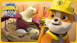 Rubble and Friends Fix Town Hall AND MORE | Rubble and Crew | Cartoons for Kids