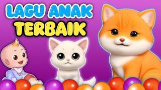 Kompilasi Lagu Anak / Anak Kucing Meong Meong / Lagu Anak / Cicak Cicak di Dinding / KATSUKIDS