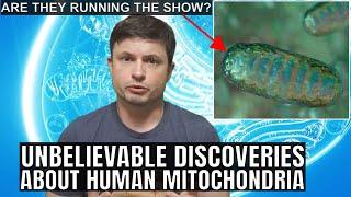 Are We Actually Controlled by Mitochondria? Mindblowing New Discoveries