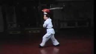 Bak Sil Lum Northern Shaolin   Double Broadsword Sample #74 WLE.com