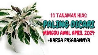 10 Tanaman Hias Paling Dicari di Minggu Awal April 2024