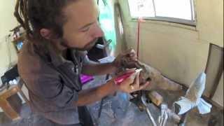 Make a Didgeridoo with Tristan O'Meara