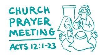 Church Prayer Meeting Bible Animation (Acts 12:1-23)