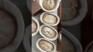 Shaping #sourdough loaves #phdlife #sauerteig #sourdoughbread