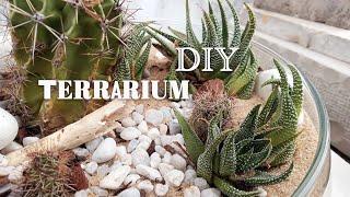 DIY Desert Terrarium | How to Make Your Own Terrarium for Beginners 🪴