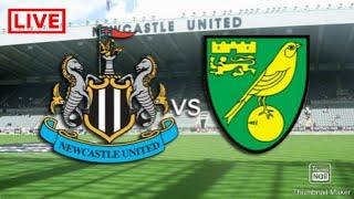 Newcastle United vs Norwich City | Live Stream | Extended Highlights & All Goals 2021 HD