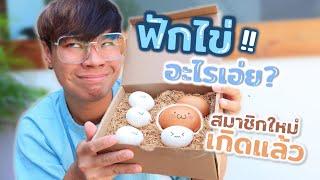 ฟักไข่...สมาชิกใหม่ออกจากไข่ กุ๊กๆ??