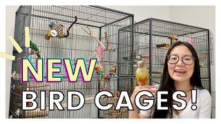 SETTING UP MY BIRDS' NEW CAGES | Total Cost and Where I Got Everything!