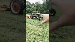 Alfalfa food plot with oats cover crop part 1