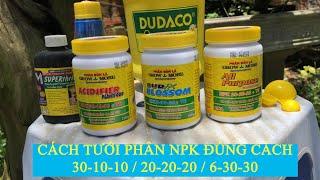 Cách tưới phân NPK cho hoa lan để cây phát triển mạnh mẽ