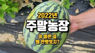 주말농장 이 좋은 걸 왜 안했었지? 힘들었던 2022년의 탈출구, 농막 텃밭 작물 이야기