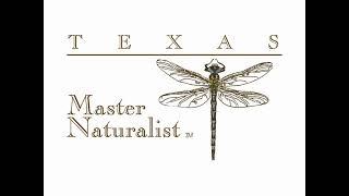 What is a Texas Master Naturalist?