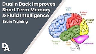 Dual N Back Memory Game Improves Working Memory & Fluid Intelligence | That Dating Anxiety Guy