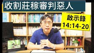 2024.12.13∣活潑的生命∣啟示錄14:14-20∣ 收割莊稼審判惡人