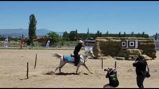 International Horseback Archery Competition, Sindirgi, Turkey