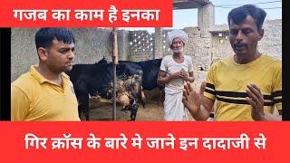 राजस्थान का बेस्ट गिर क्रॉस गाय का फार्म #dairyfarm #rajasthan#viral #topcow#bhilwara #dairyproducts