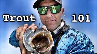 trout fishing 101 - HOW TO - catch summer trout